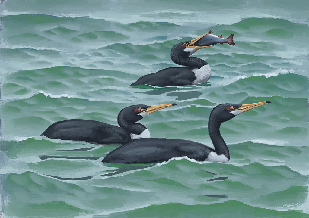 Hesperornis