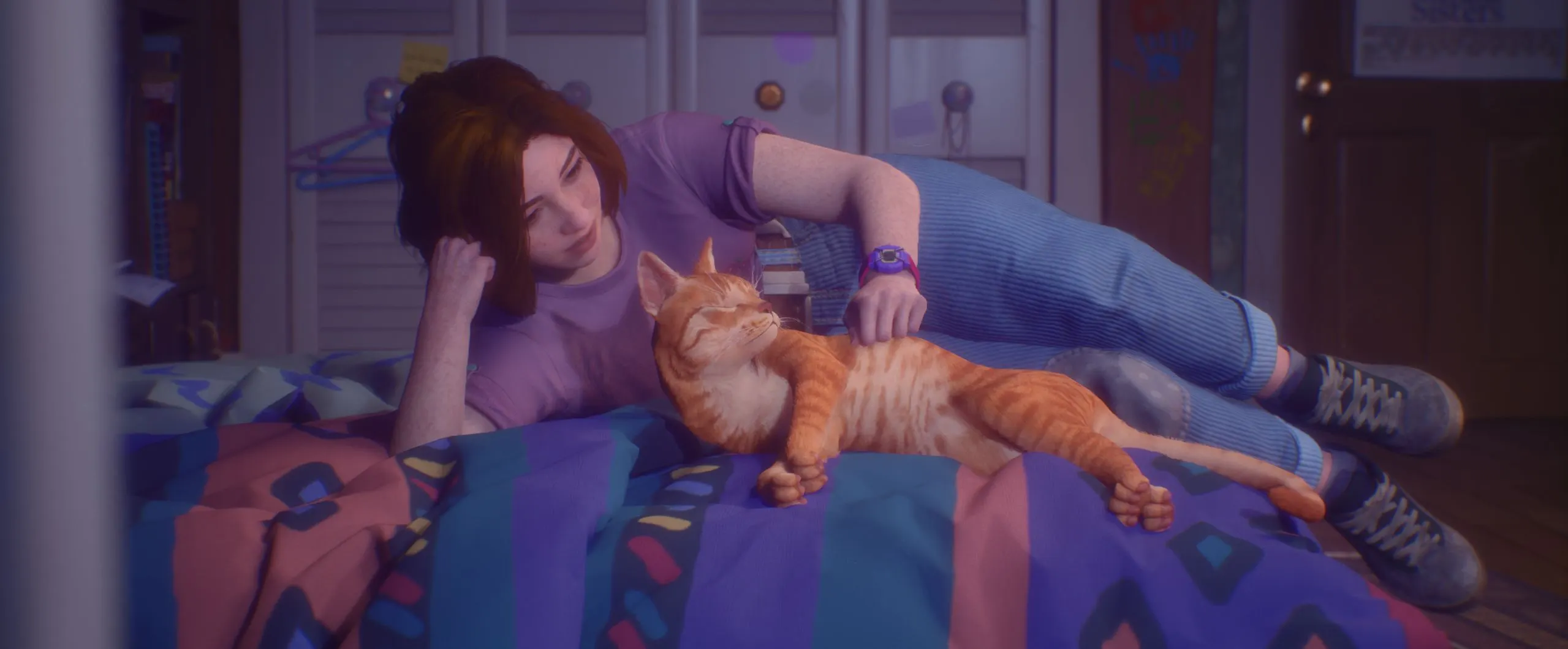 А кот то крупный.