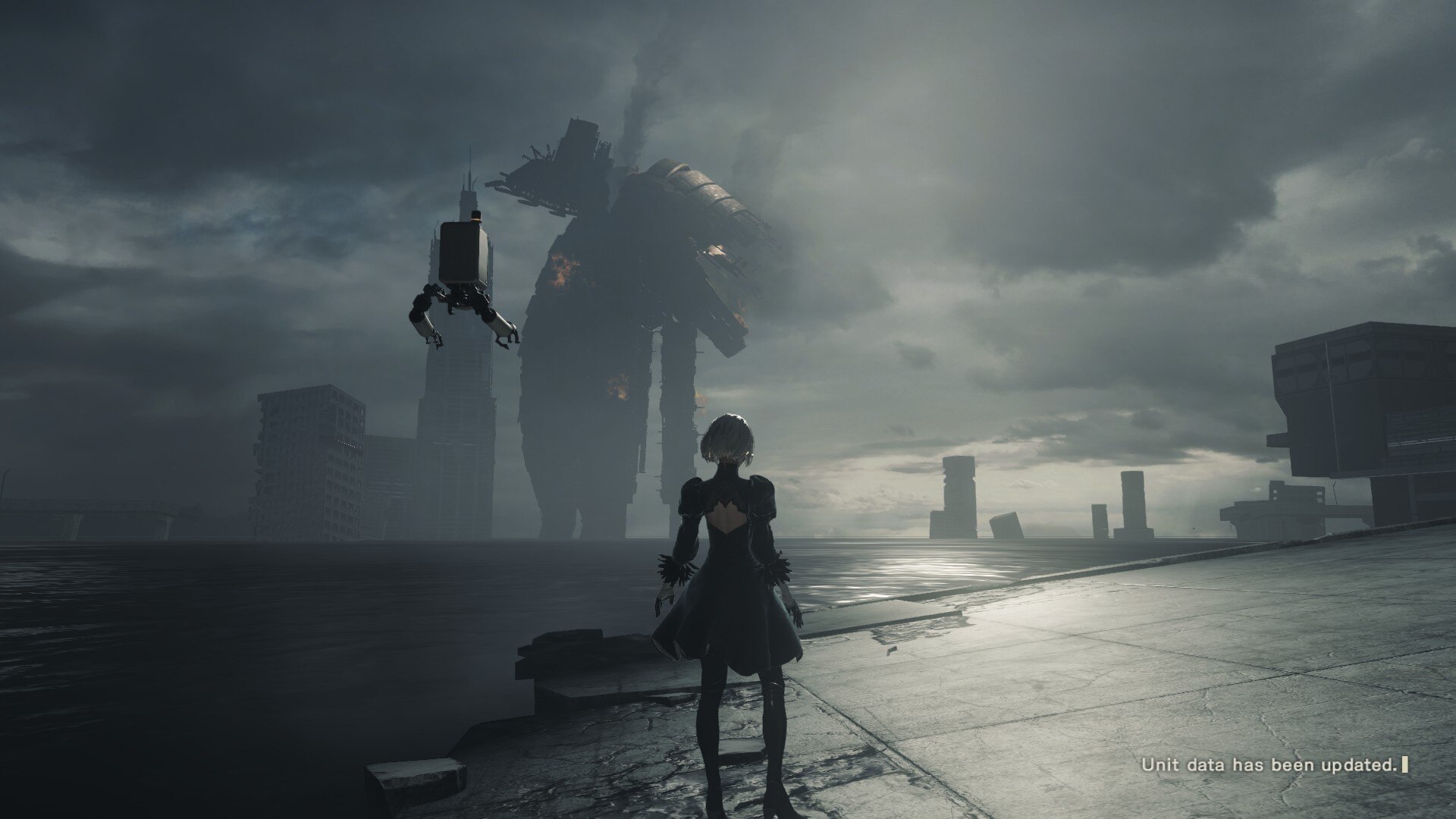 NieR Automata