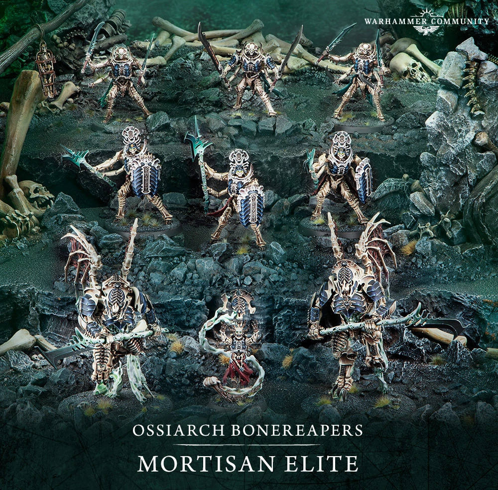 Ossiarch Bonereapers Mortisan Elite