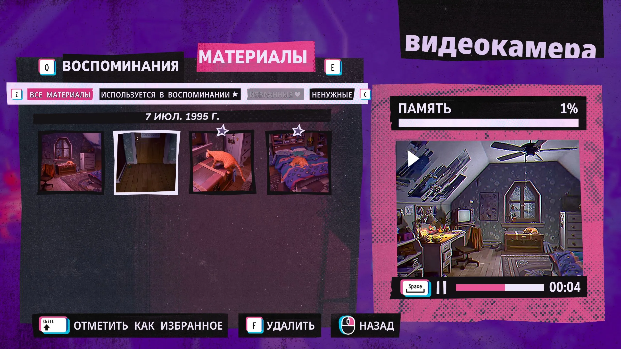 Тебе 16 лет, у тебя есть видеокамера и... можно записывать всё и просматривать.