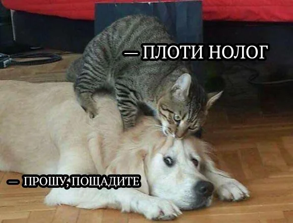 Тирион начинает налаживать экономику.