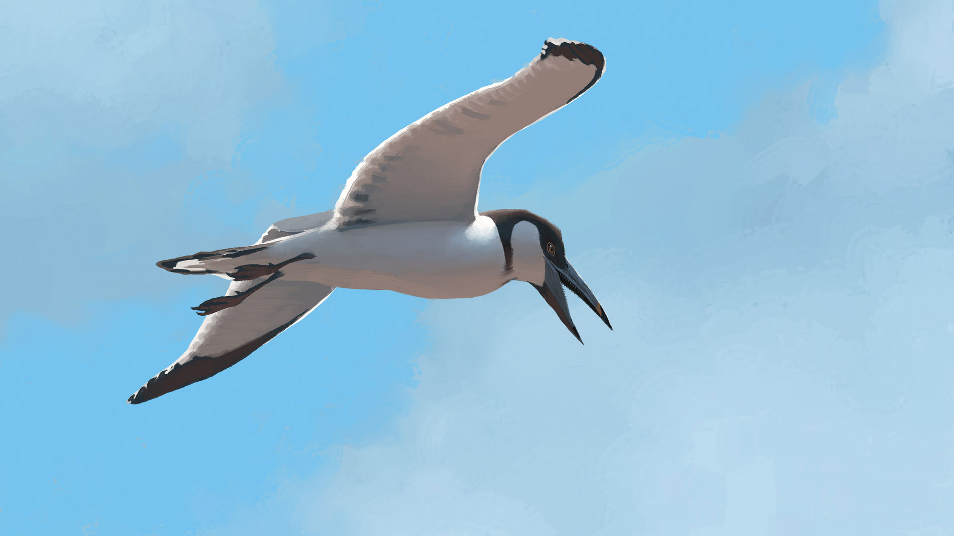 Ichtyornis