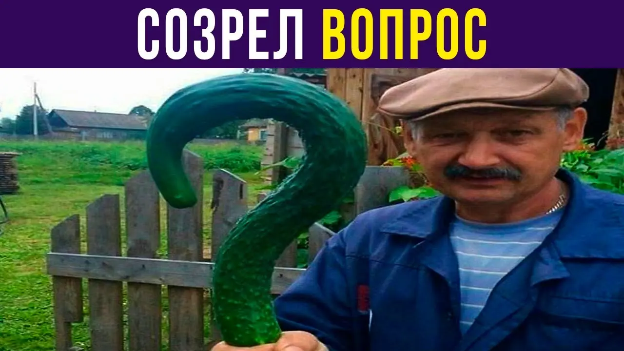 Картинка для ХАХА