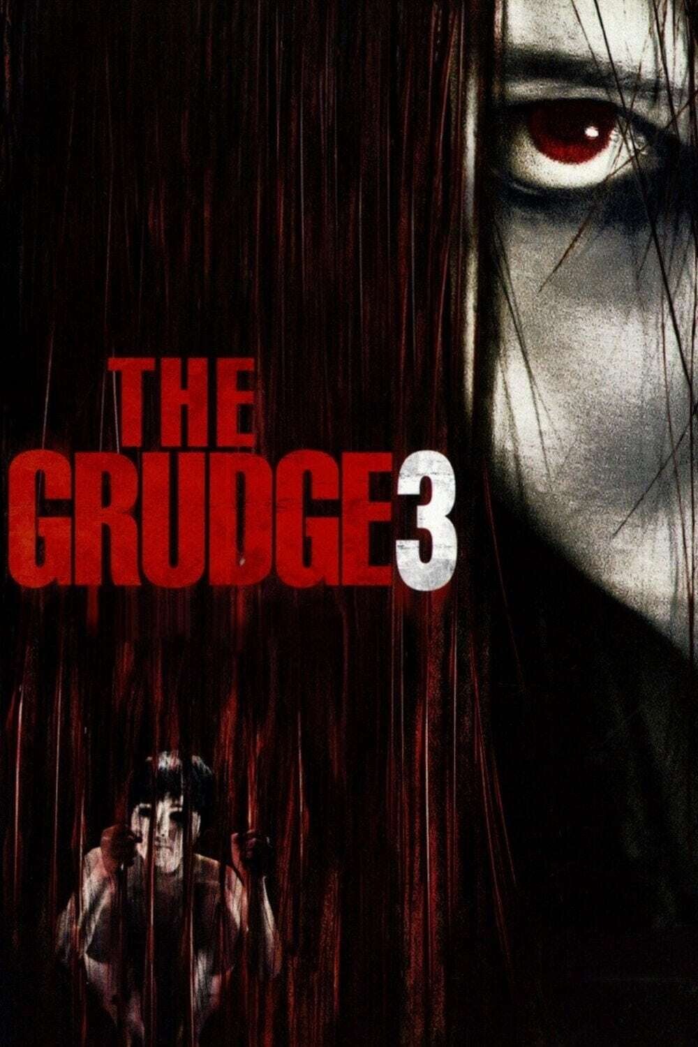 The Grudge 3 (2009). Режиссёр - Тоби Уилкинс.