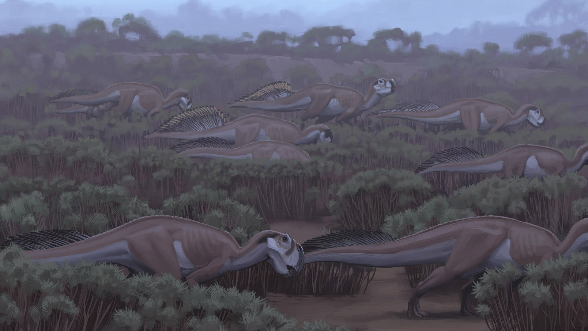 Psittacosaurus