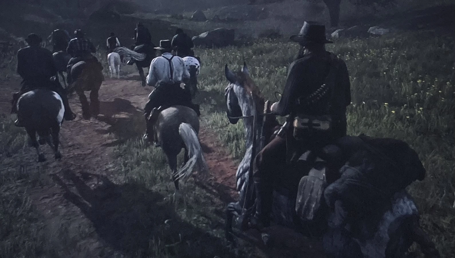 Шкура справа, на крупе Биби&nbsp;