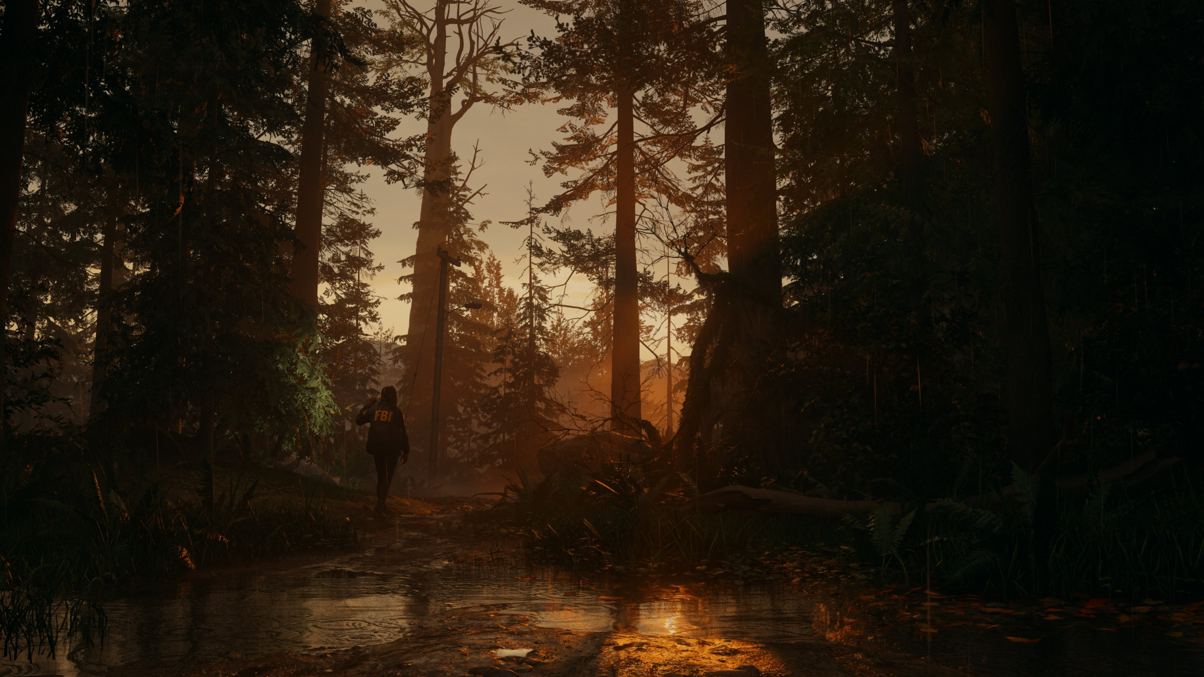 64.6% зрителей проголосовали за Alan Wake II